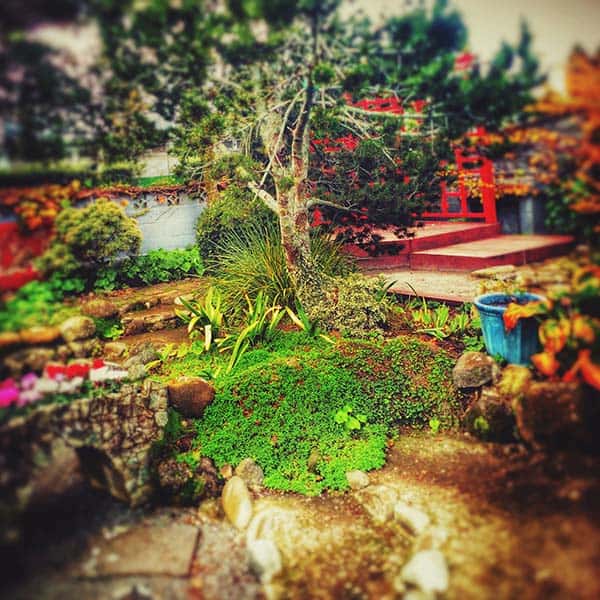 Startseite 5 Miniatur-Land-Art: Kleine Landschaften in Parks und Gärten beleuchtet von Kyra Vertes